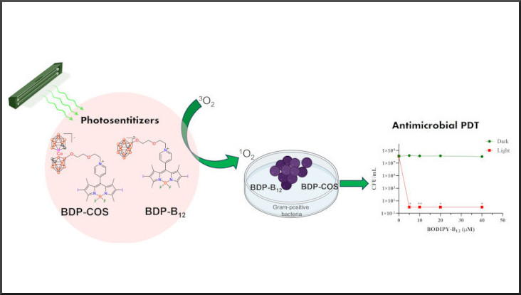 Esquema de la recerca