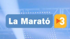 LogoLaMaratoTV3