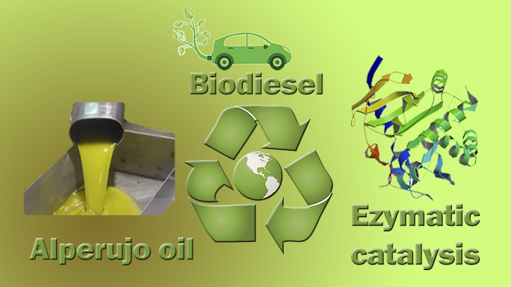biodièsel olis rebuig