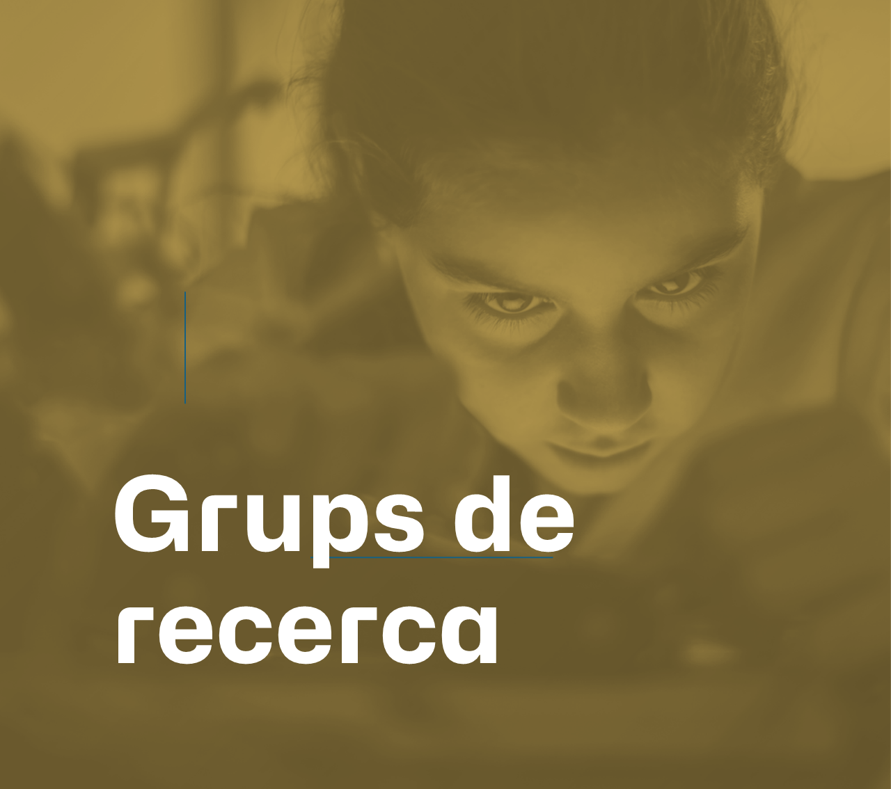 Grups de recerca