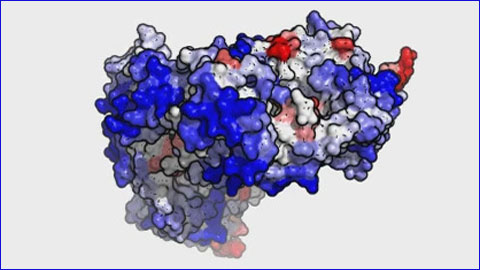 A new 3D method improves the study of proteins