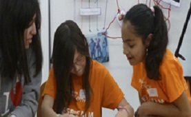 Voluntariat