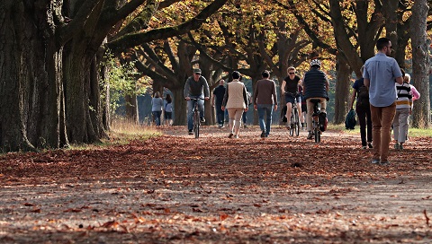 Parc de tardor amb gent passejant