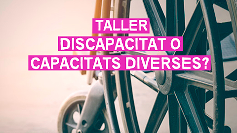 Taller de Discapacitat o capacitat diverses