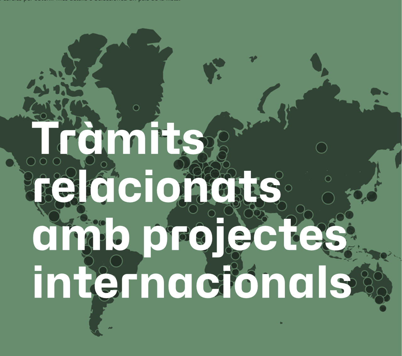 Tràmits relacionats amb projectes internacionals