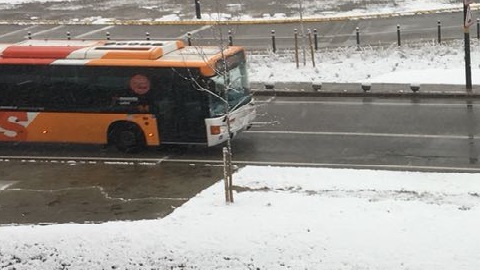 Bus circulant pel campus