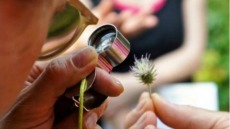 Imatge del Curs d'Interpretació del Patrimoni Natural