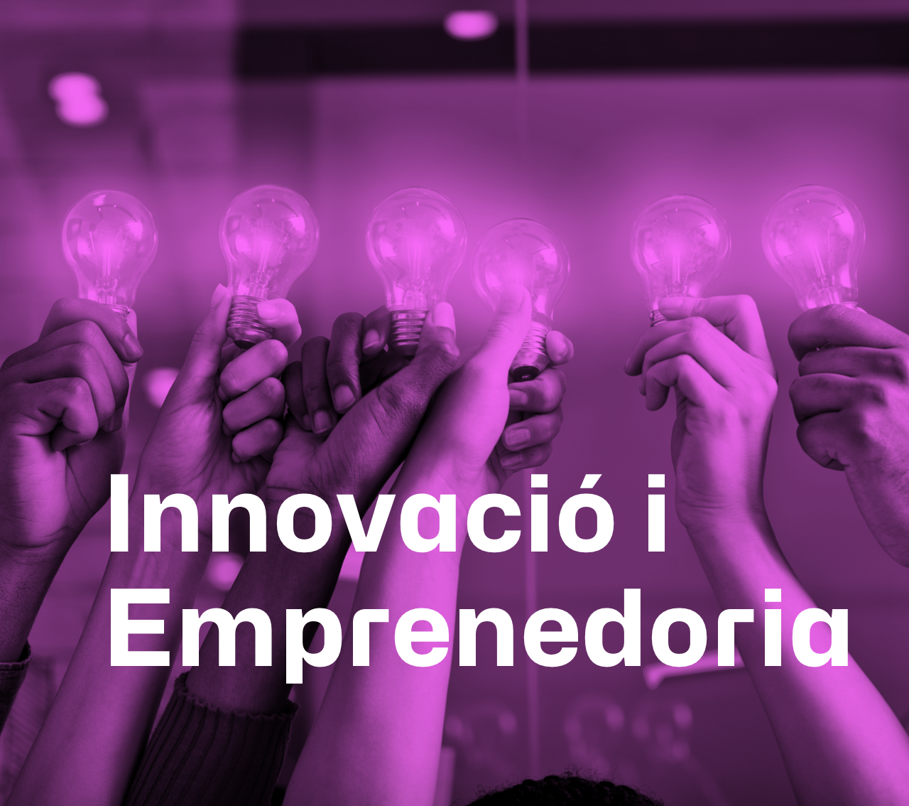 Innovació, Transferència i Emprenedoria