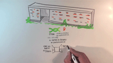 Taller de sketching científico en el CRAG
