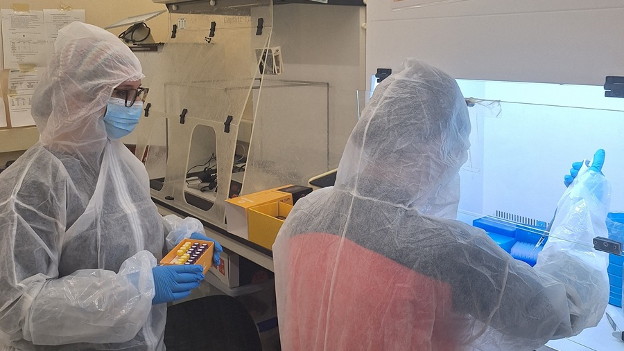 Anàlisi al laboratori d'ADN antic de la UAB