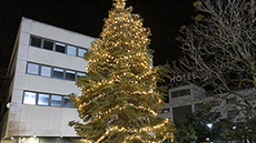Arbre de Nadal a l'Exterior de l'Edifici Blanc