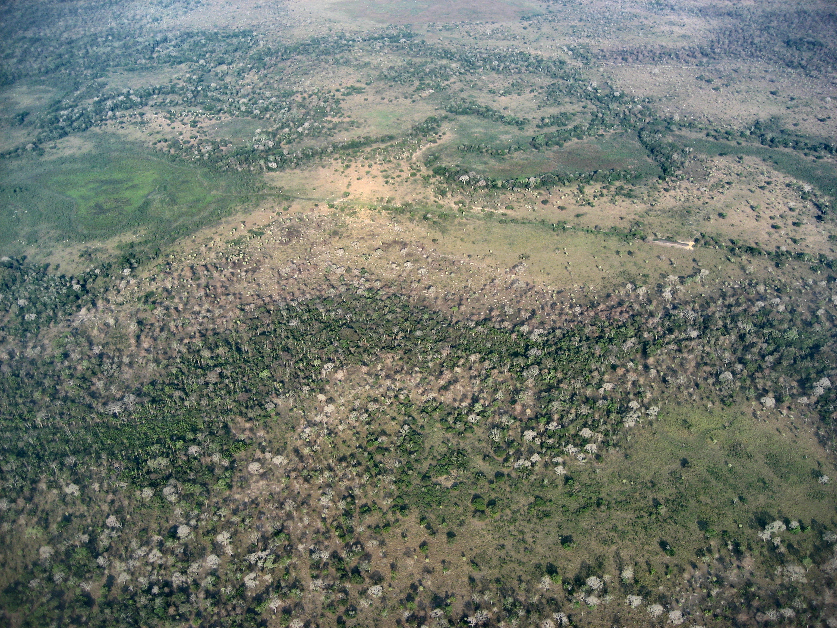 NOU SISTEMA DE REG I DRENATGE A AMAZONIA