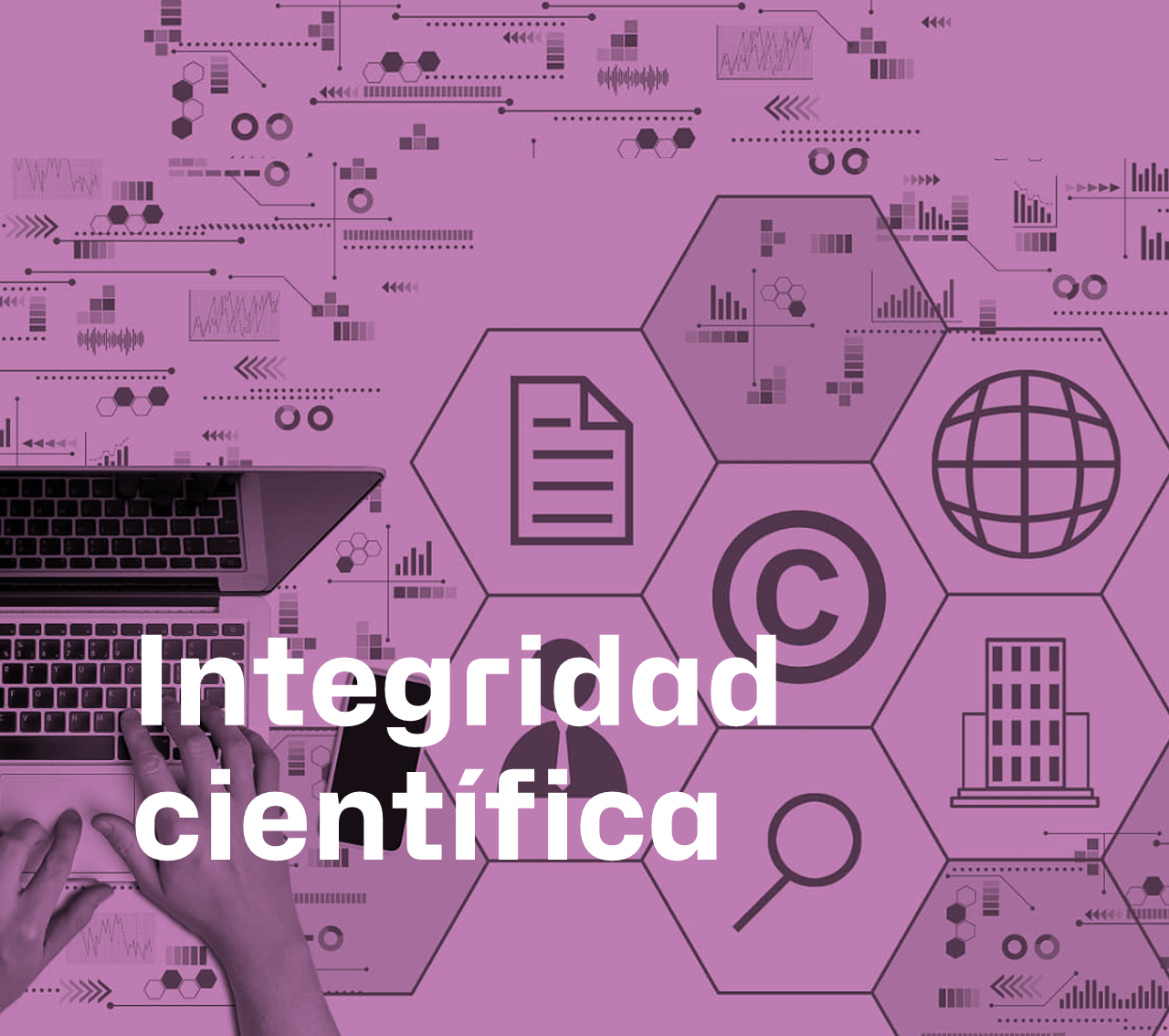 Integritat científica