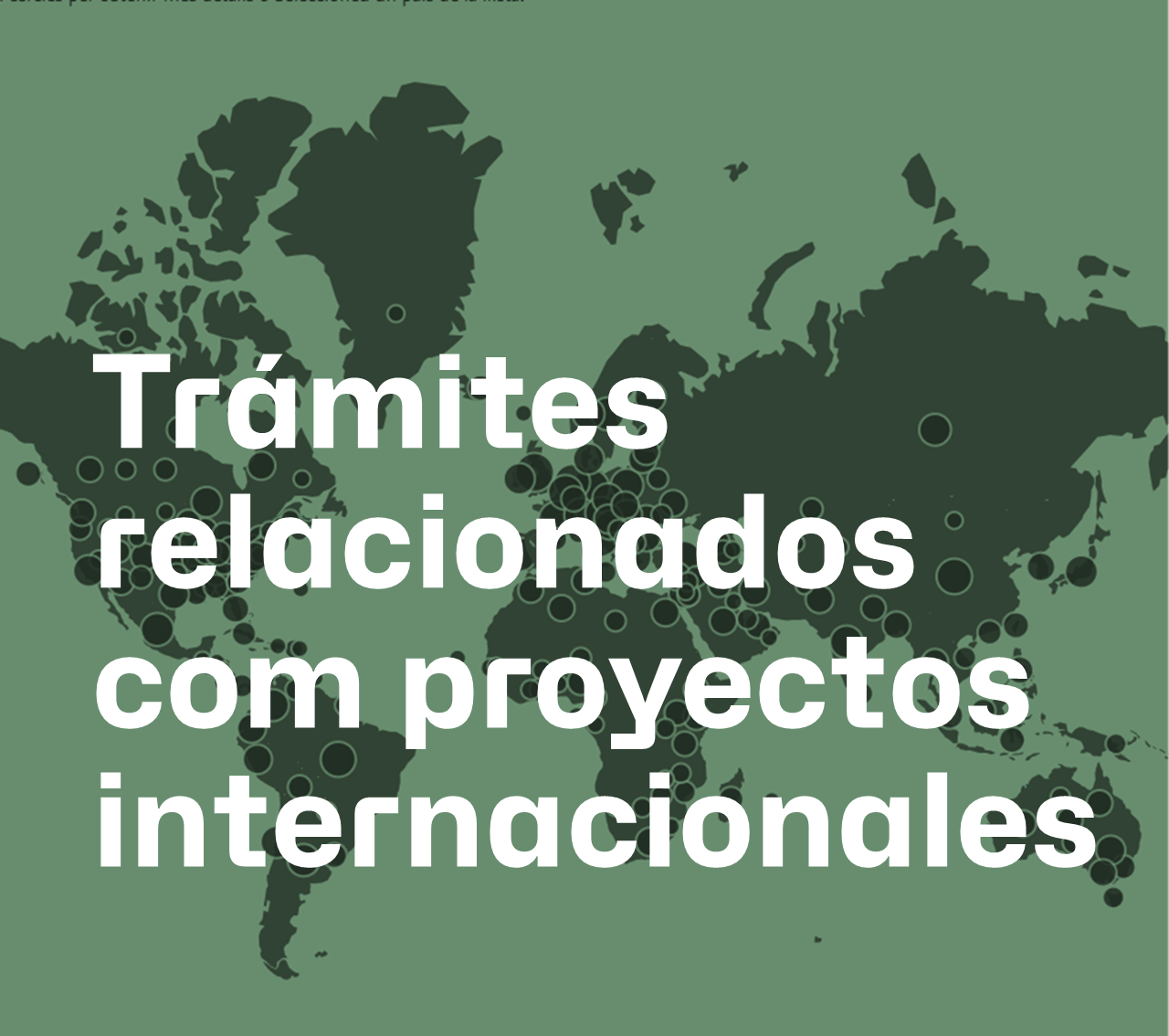 Tràmits relacionats amb projectes internacionals