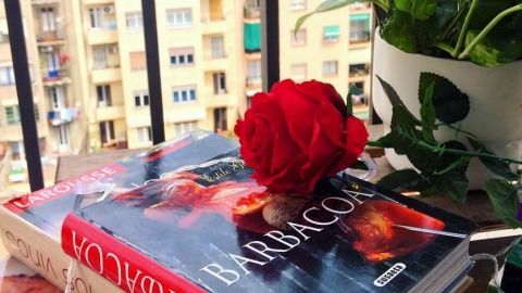 Imatge de Sant Jordi Recicla Cultura