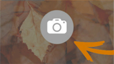 Concurs de fotografia My Webtime
