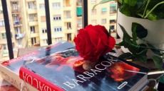 Imatge de Sant Jordi Recicla Cultura