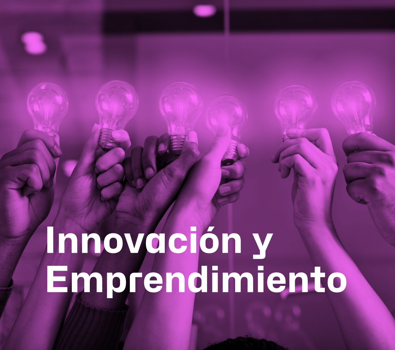 Innovació, Transferència i Emprenedoria