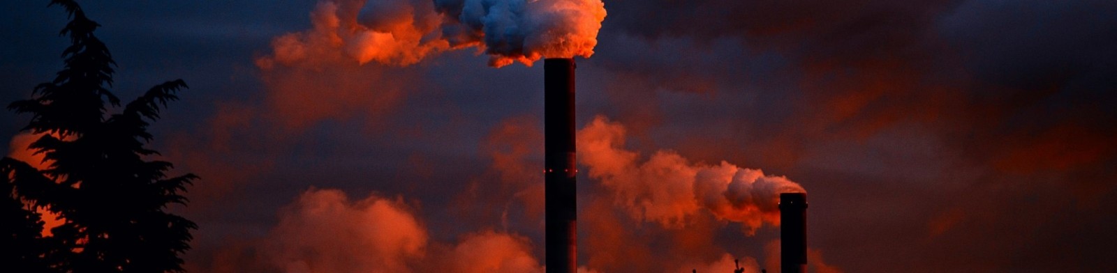 ERC Advanced Grant projecte EVOCLIM