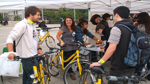 diadelabici