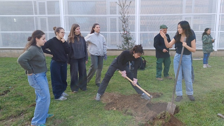 Plantada d'arbres 16-II-2026