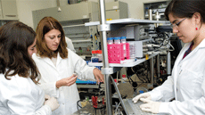 Summer fellowships ICN2