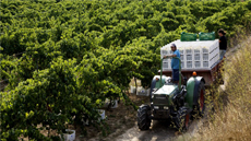 Entitat d'Agricultura L'Olivera (Vallbona de les Monges)