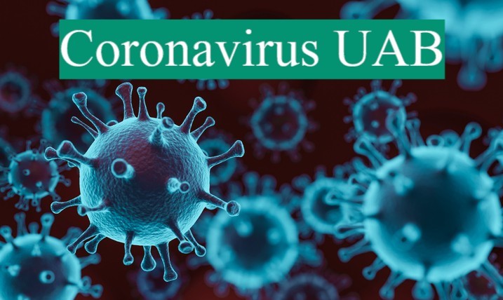 Coronavirus Web UAB