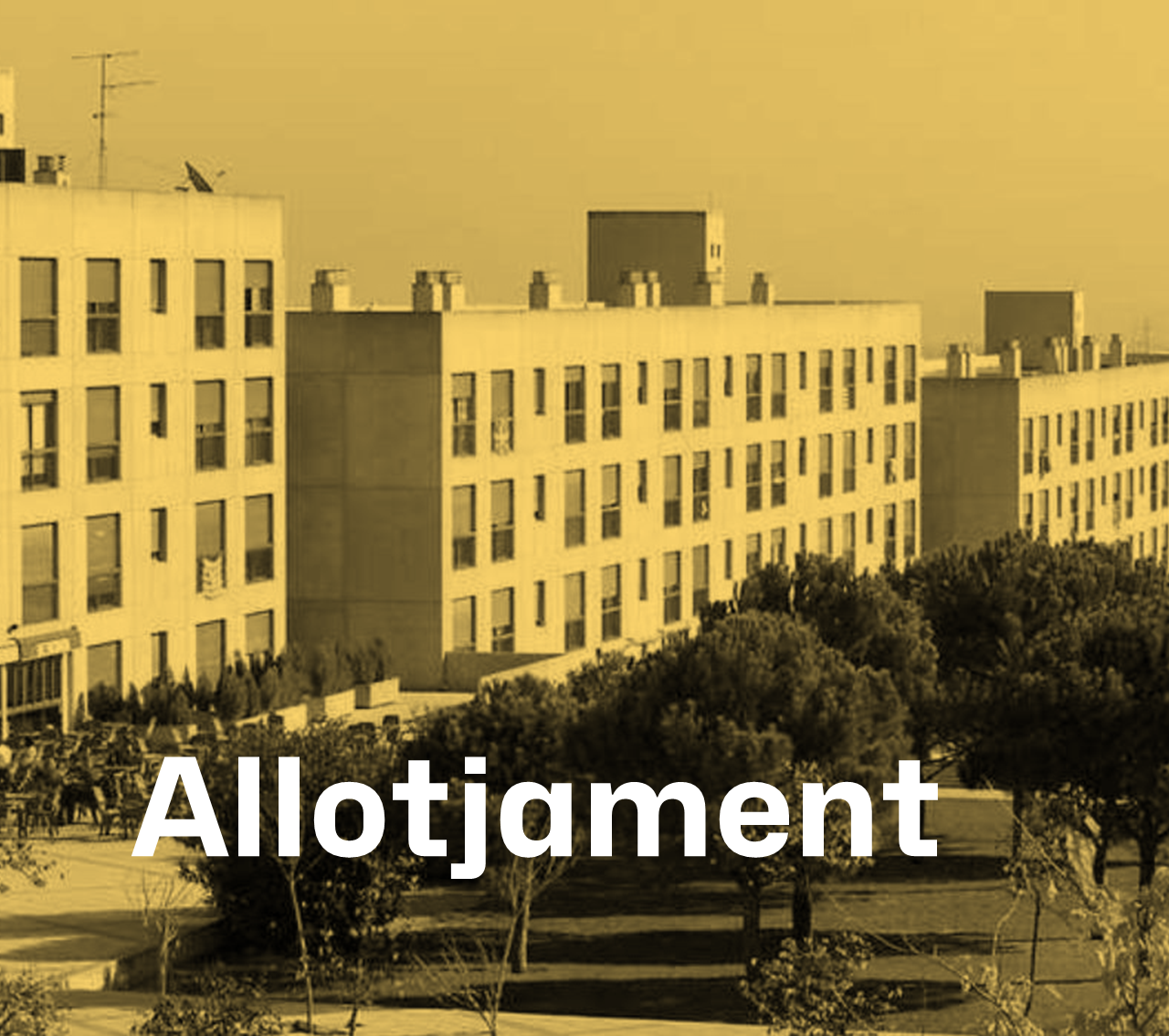 Allotjament 