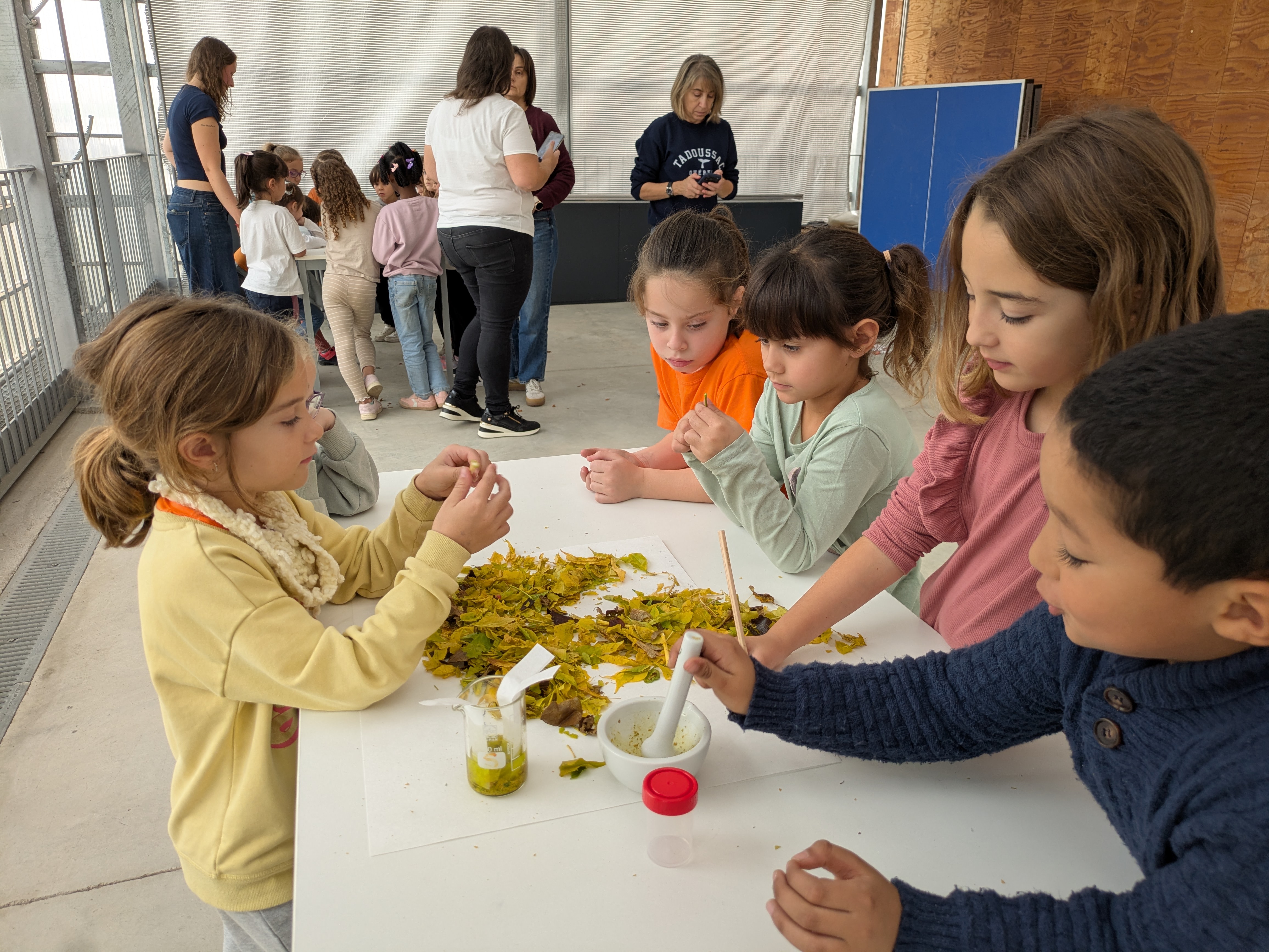 Alumens de l'escola La Pau visiten l'ICTa-UAb per al projecte COALA