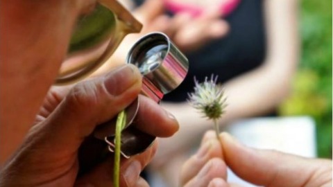 Imatge del Curs d'Interpretació del Patrimoni Natural