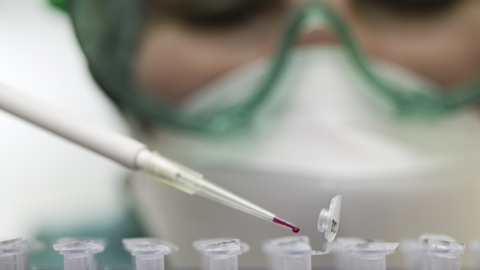 La UAB ja pot avaluar projectes d’experimentació amb animals