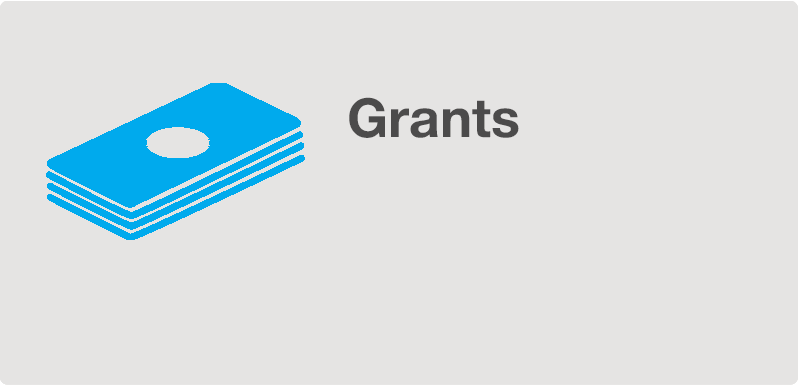 Drawing of a blue stack of bills on a grey underground and the word Grants