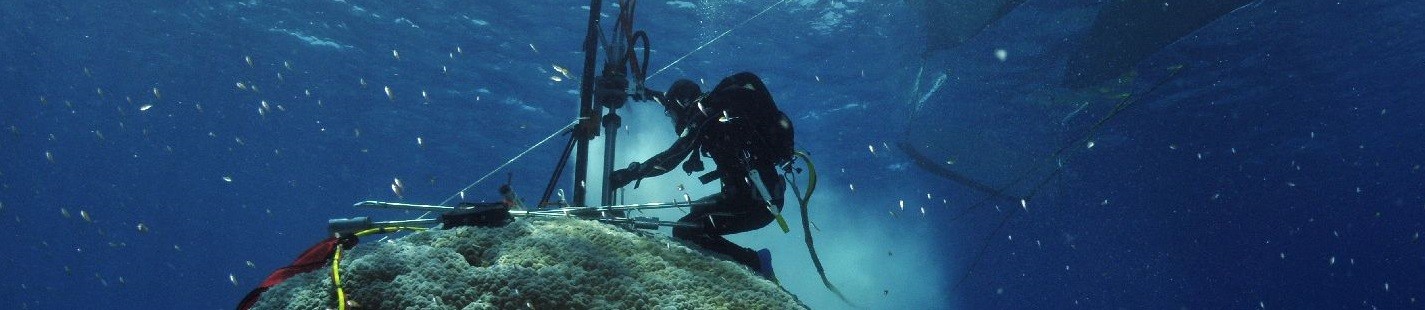 Els humans van desencadenar l039escalfament global fa 180 anys