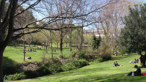 UAB Campus students reading in the grass