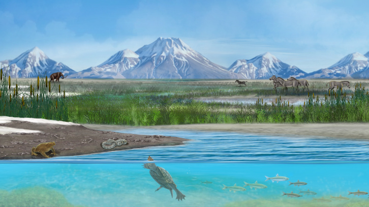 Recreación de la vida de la flora y fauna más relevantes del yacimiento