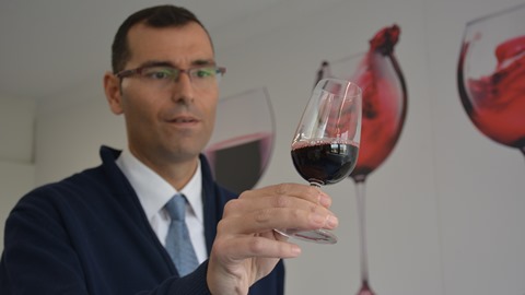 José Luís García, Coordinador del Curs en Enologia i Enoturisme