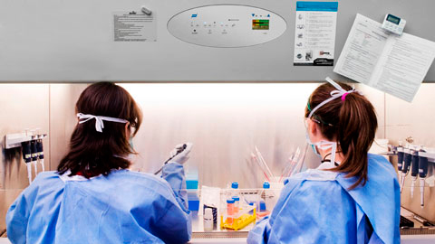 Personal treballant a un laboratori
