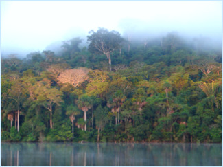 Explotació hidrocarburs a l'Amazones