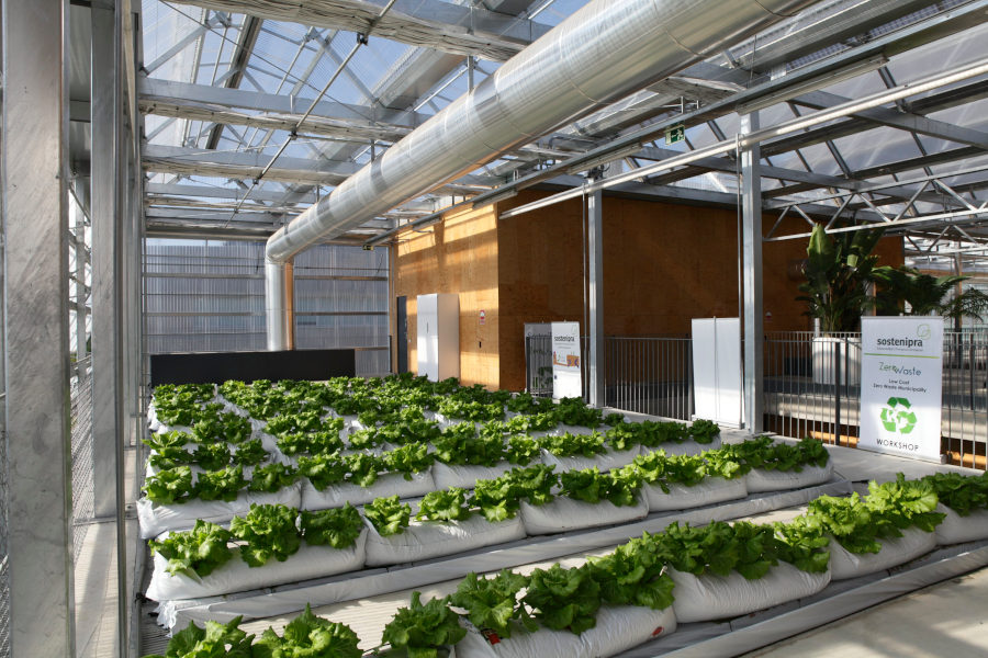 Reutilització d'orina humana per produir fertilitzants