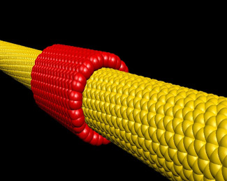 Dispositiu mòbil que es desplaça llarg d'un nanotub muticapa