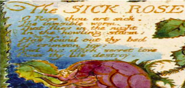 W. Blake, “The sick rose” a “The songs of innocence and experience” (1825).