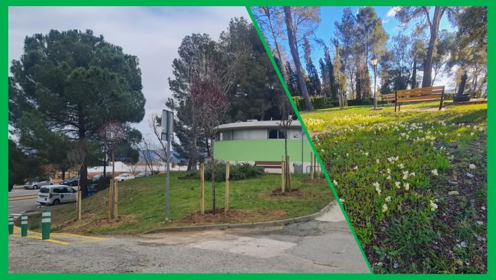 Escocells i petits parterres amb flors