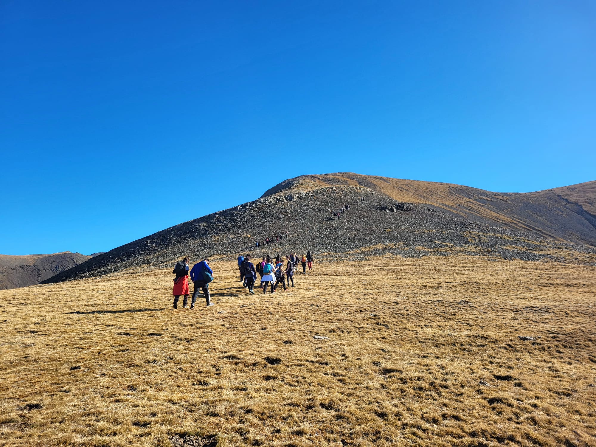 Imatge alumnes Transnatura