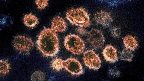 Informació sobre la situació del coronavirus
