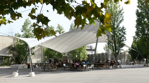 Carpa de la Facultat de Filosofia i Lletres