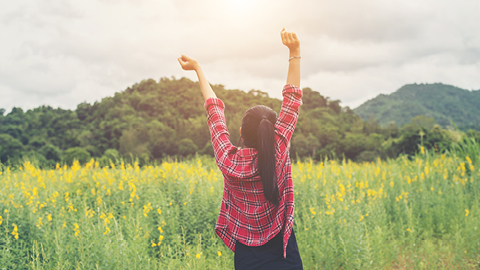 Programa de Pràctiques Odisseu