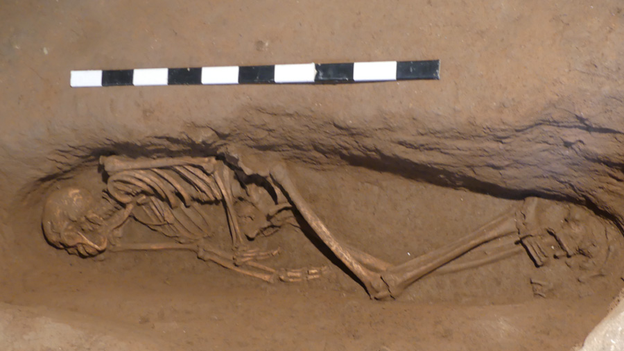 Restes d'un individu de la necròpolis islàmica de Galligants, a Girona.