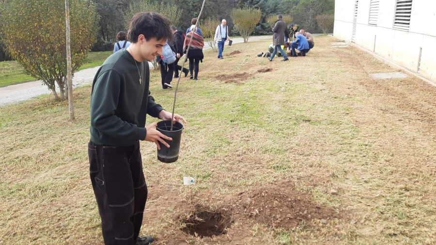 Platada d'arbres a la plaça del Coneixement