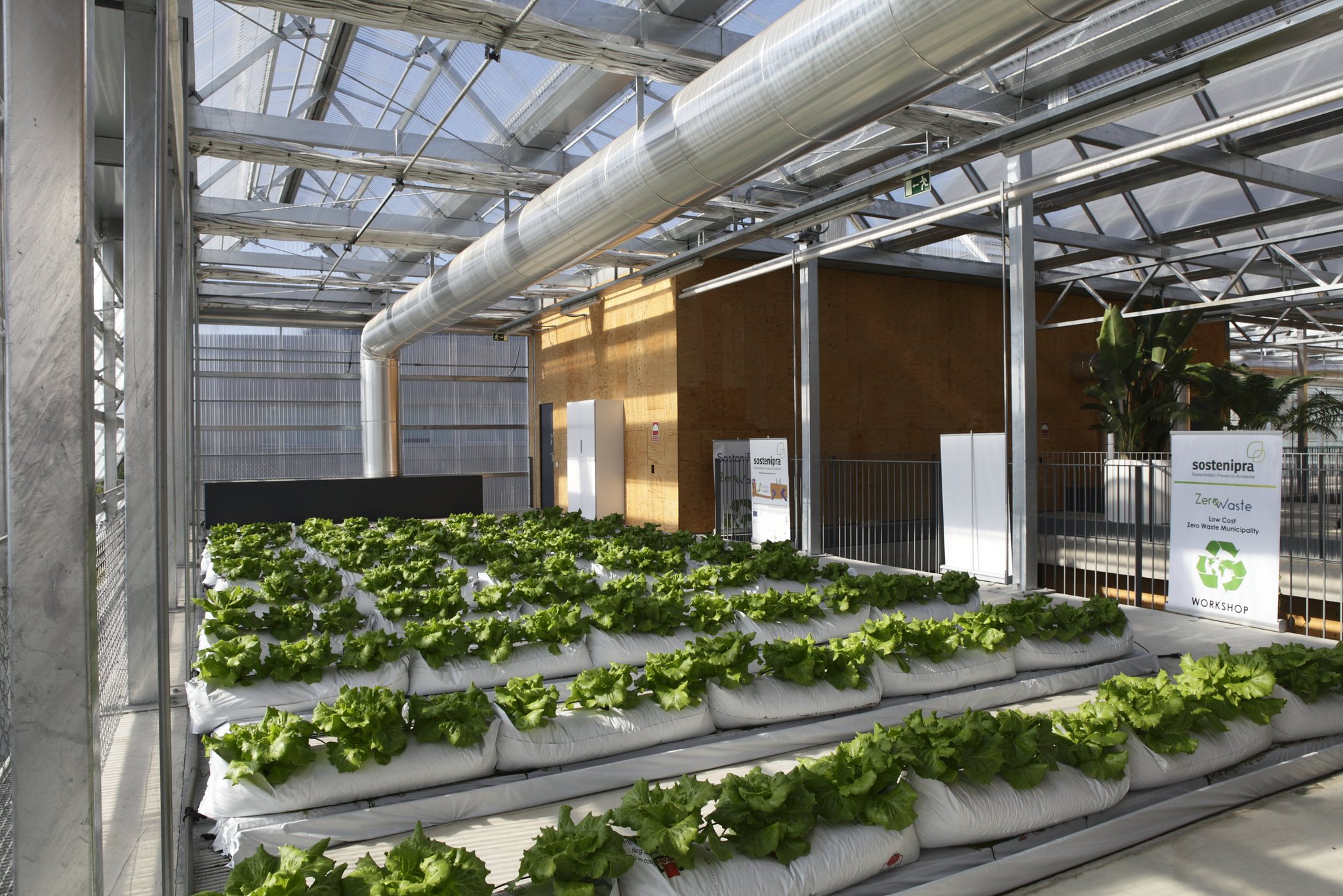 L039agricultura urbana en terrats permet produir aliments sans frescos i sostenibles